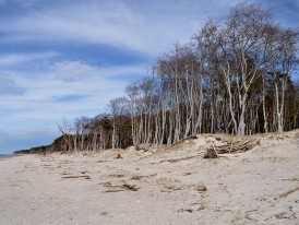 Darß Weststrand