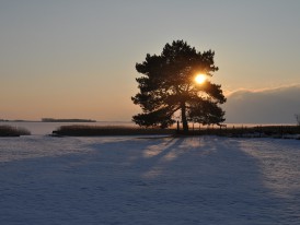 Bliesenrade im Winter