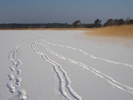 Bliesenrade im Winter